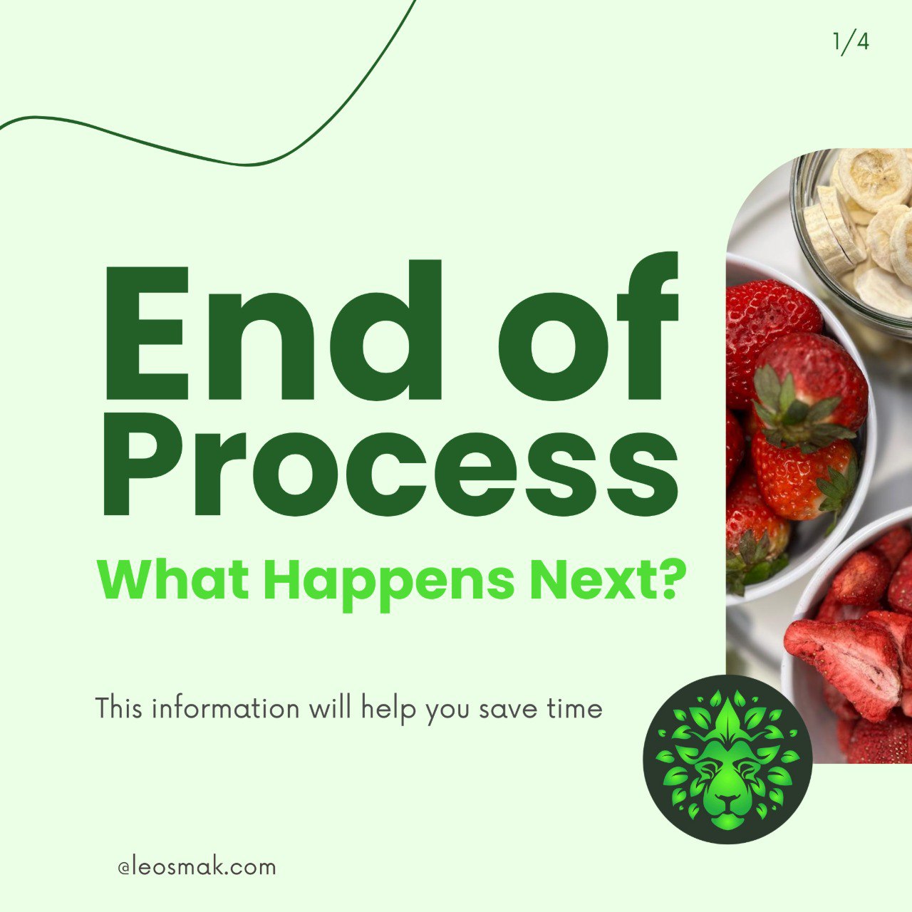 Guias rápidos Liofilização